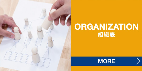 ORGANIZATION 組織表